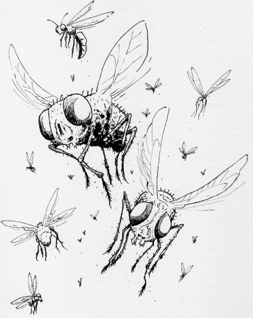 S.W.I.T.C.H 2: Fly Frenzy