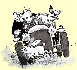 Fairy Nuff a Tale of Bluebell Wood Fairy Nuff a Tale of Bluebell Wood